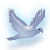̃CXg