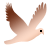 鳩のイラスト